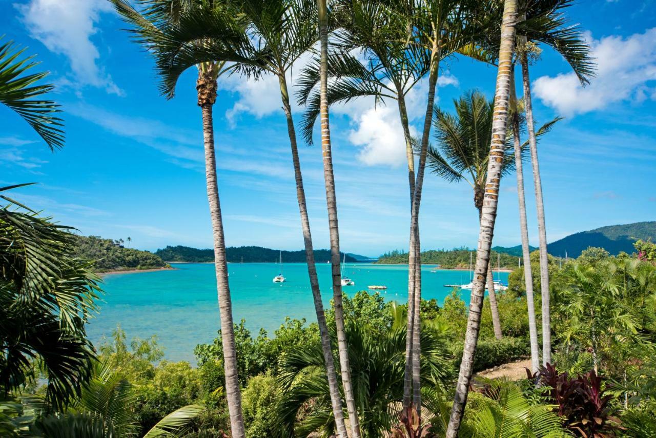 Baybliss Apartments Studio 1 Shute Harbour Exterior foto